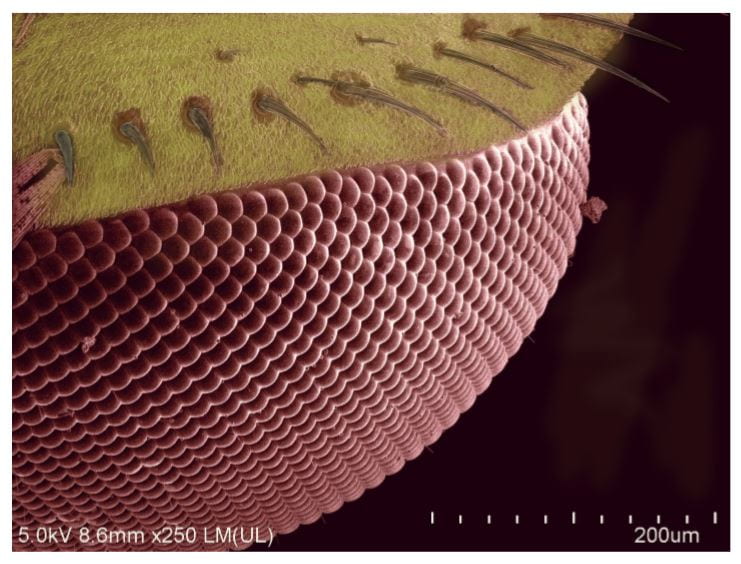Image contest example image 1