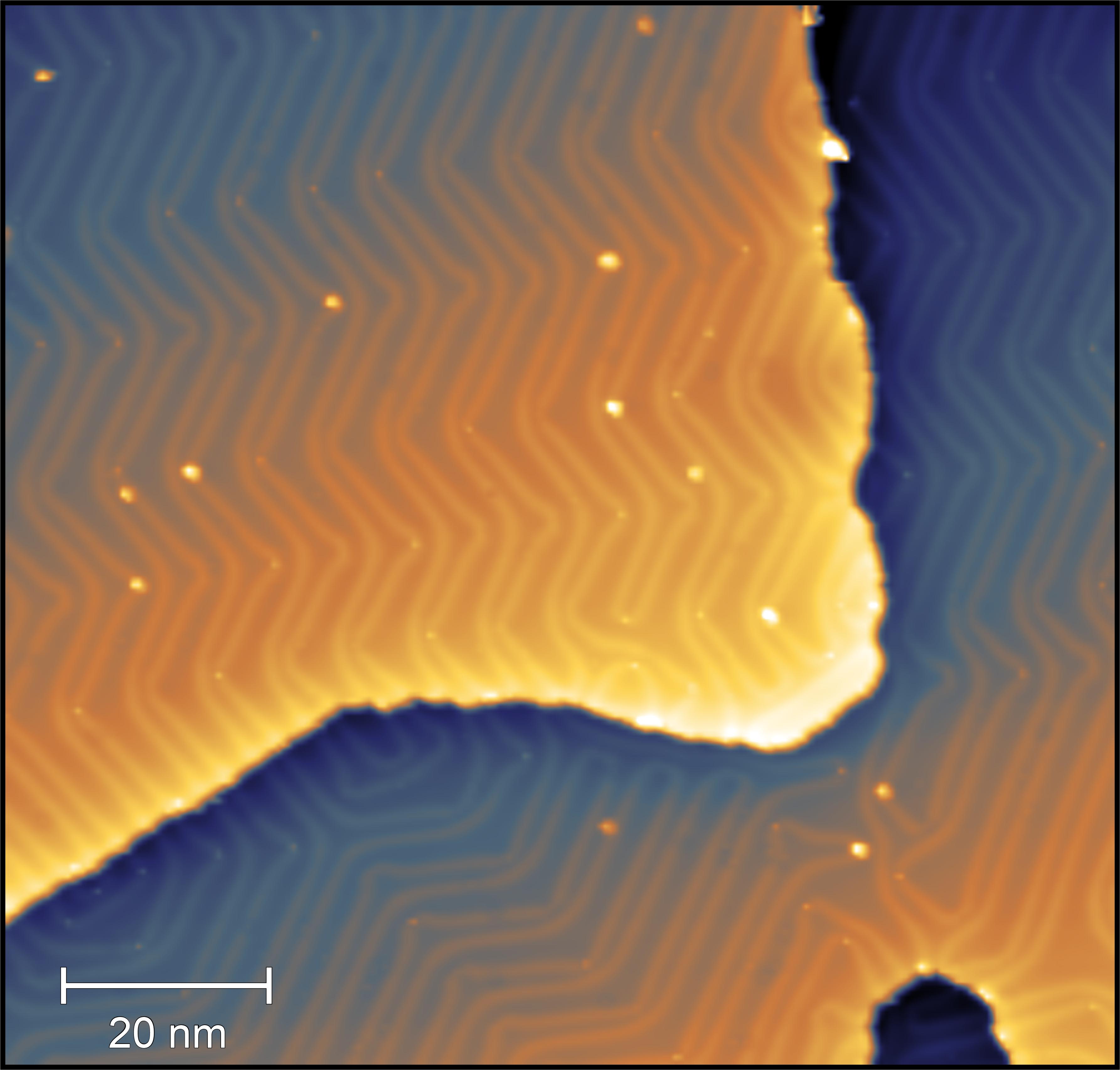image contest example 4