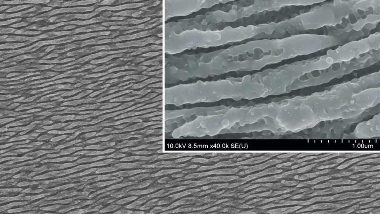 Scanning electron microscope (SEM) images show a textured titanium alloy surface with layered microscale patterns created by laser irradiation, including a magnified inset highlighting fine surface features and scale measurements.