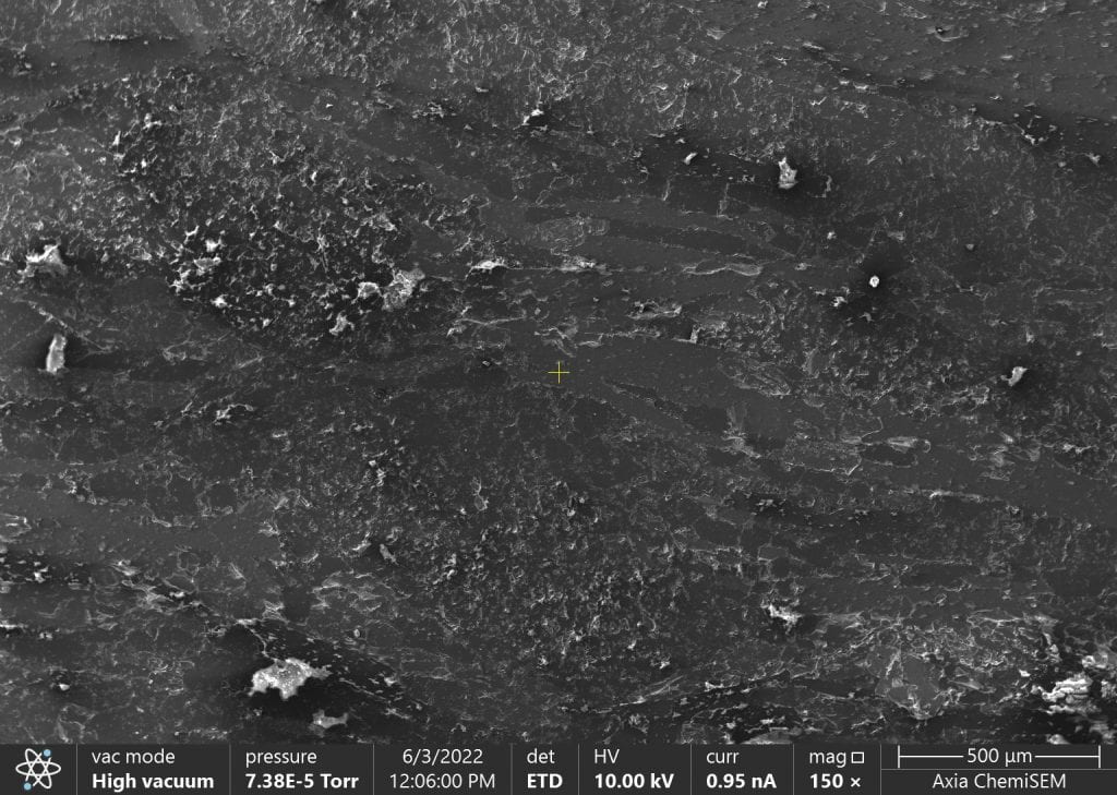 Secondary Electron Image (SE)