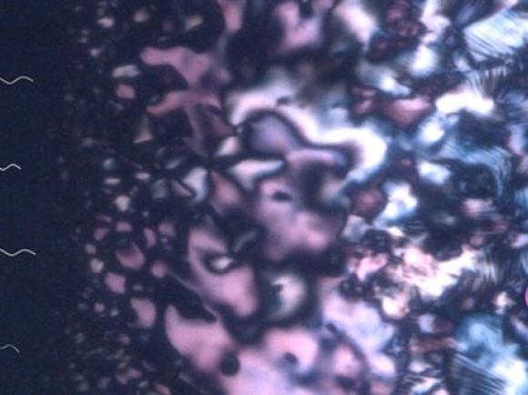 Tiny helices emerge during a phase separation process, offering clues about how life&#039;s building blocks may have first developed a preference for one &#039;handed&#039; form over another. (Credit: Jong-Hoon Lee, Ziming Wang, Ying Diao)