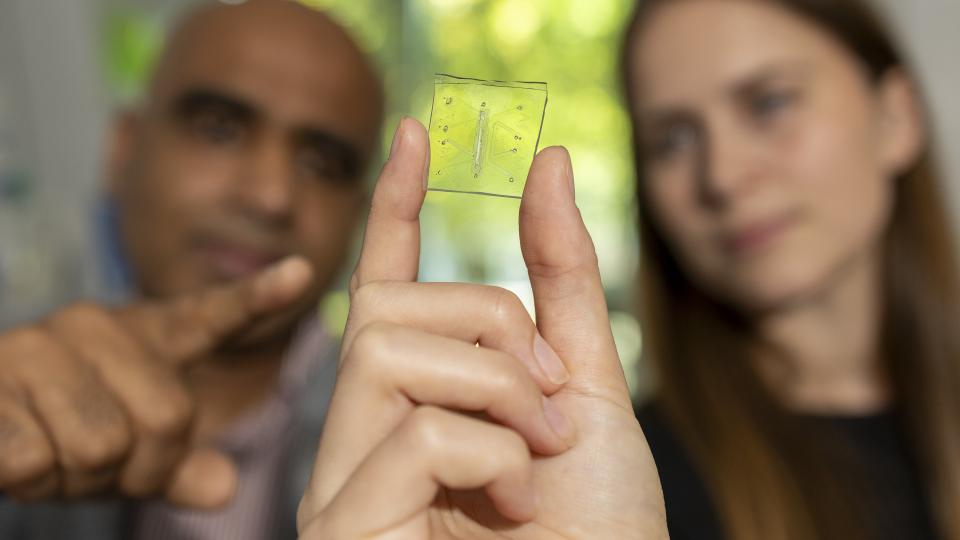 Researchers show off a lung-on-a-chip that has an immune system. Long term, this technology could lead to highly personalized medicine
