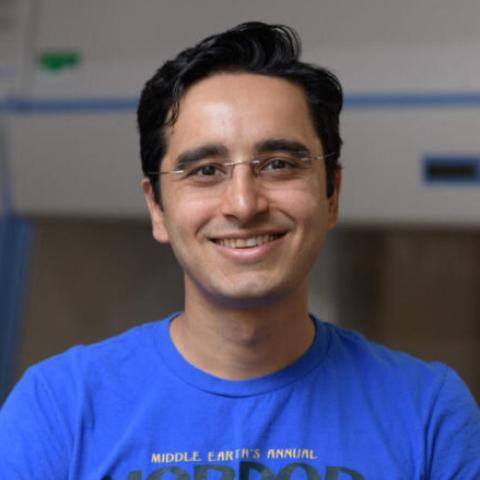 Saad Bhamla