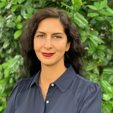Nazanin Bassiri-Gharb Nazanin Bassiri-Gharb